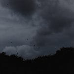 MysteryTourstockphotos-07