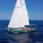 sailboat-valencia