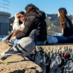 Bunkers del carmel barcelona by Tour Me Out